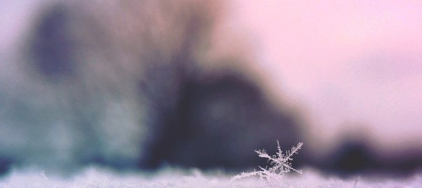 Lanzar café caliente al aire… a -32 grados