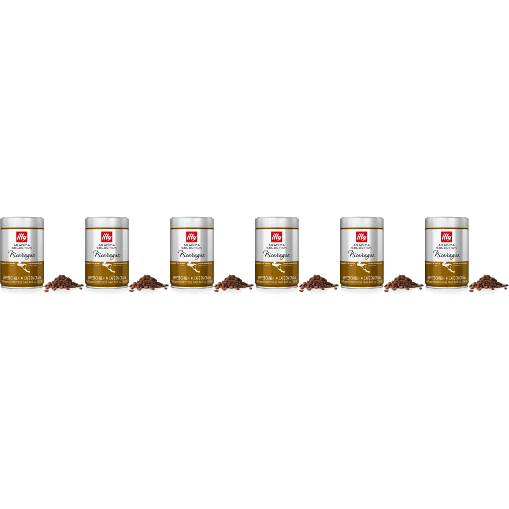 illy - granos de café - 6 x Selección Arabica - Nicaragua - 250 gramos