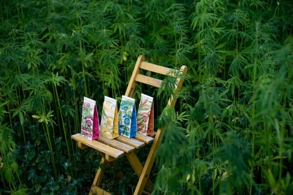 Simply Hemp - Té puro de cáñamo 40 gramos - Dutch Harvest té a granel