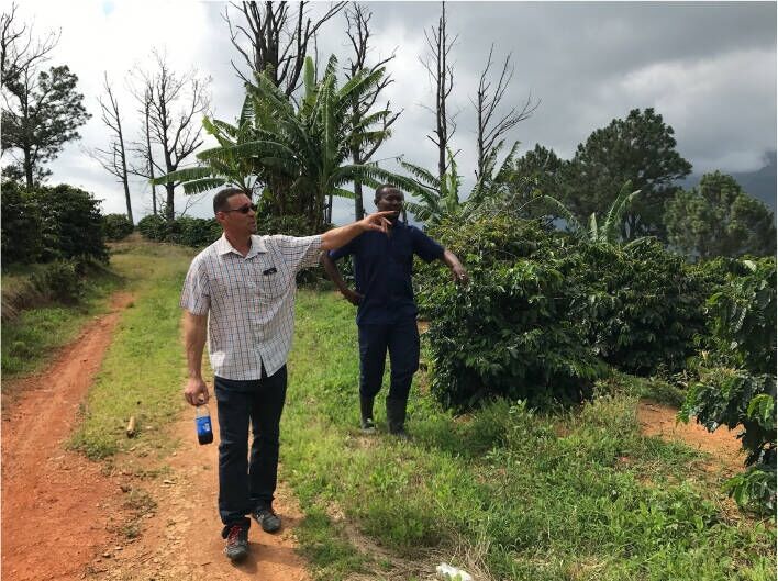 Jamaican Blue Mountain №1 - Café en grano fresco - 100 g