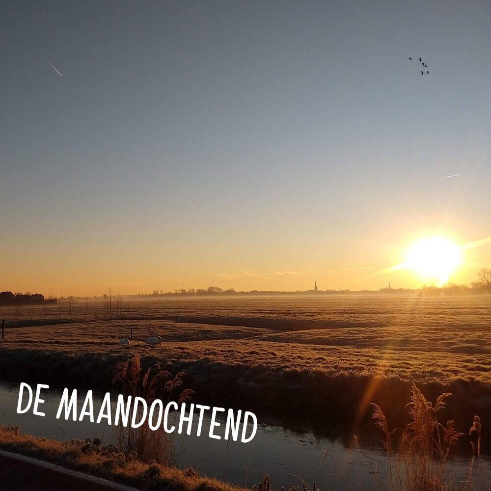 La vista de Café du Jour