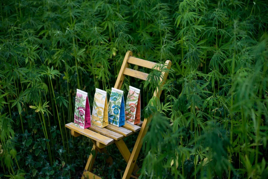 Simply Hemp - Té de cáñamo puro 40 gramos - Dutch Harvest té suelto