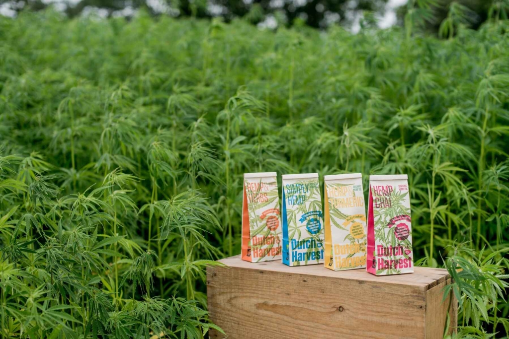 Hemp & Herbs - Mezcla de té de cáñamo y hierbas 40 gramos - Dutch Harvest té suelto