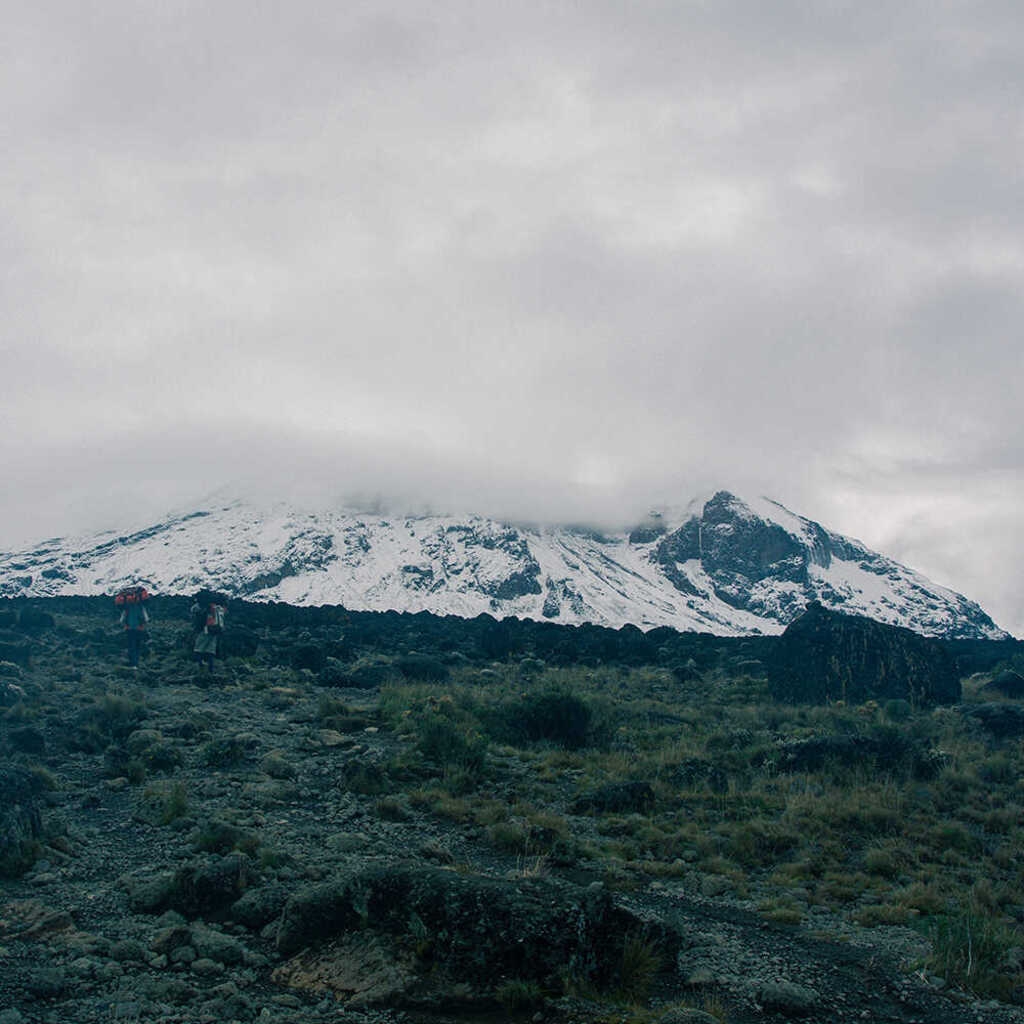Café du Jour 100% arábica Tanzania