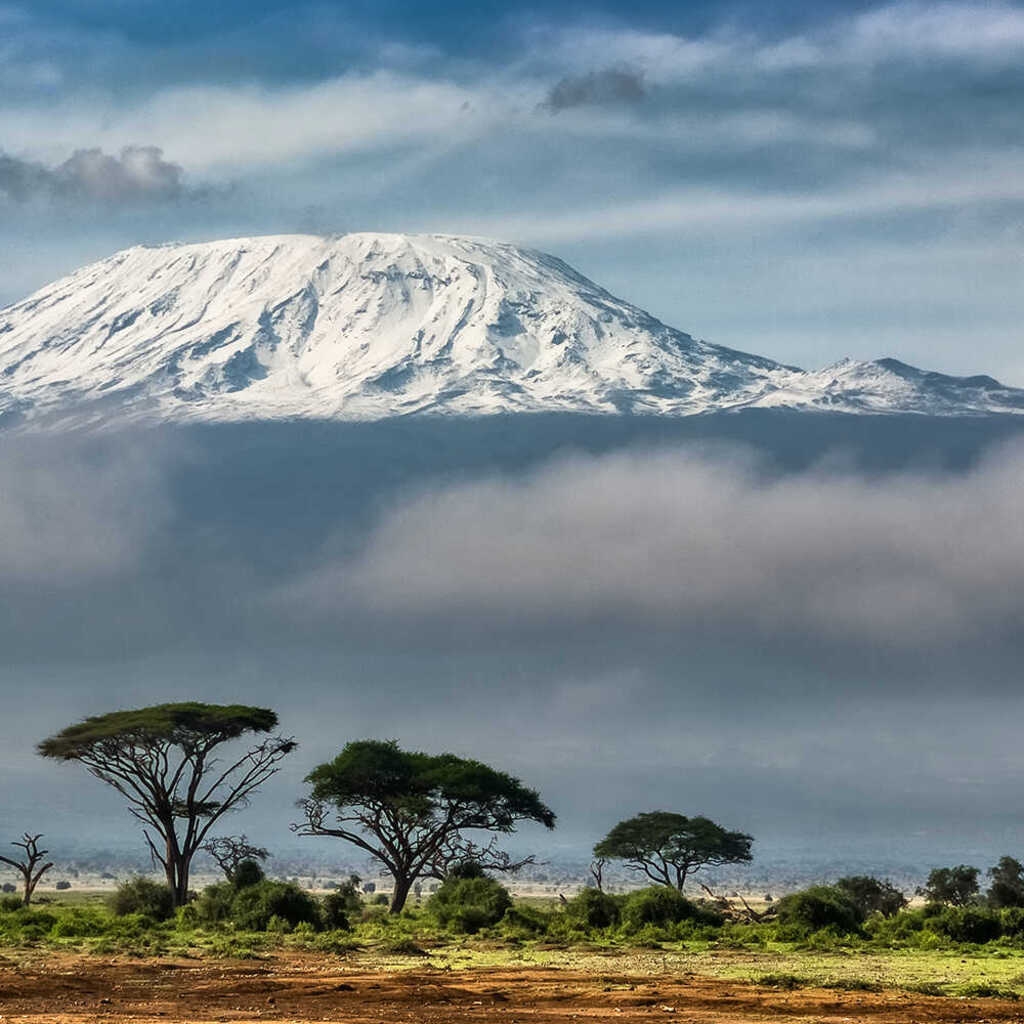 Café du Jour 100% arábica Tanzania