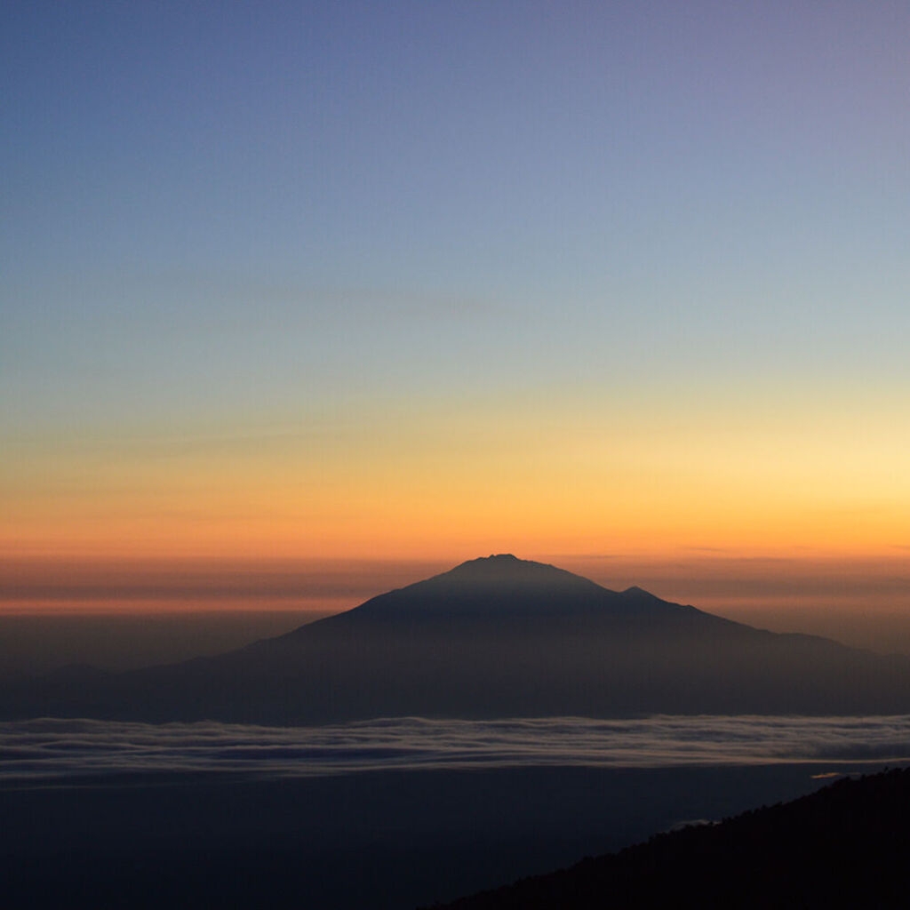 Café du Jour 100% arábica Tanzania