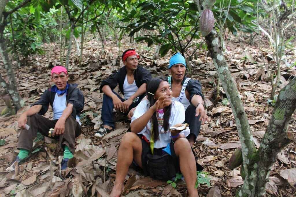 Millésime - Speculoos Perú - 55% chocolate con leche (Bio)