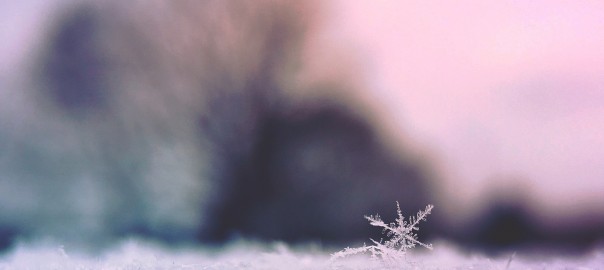 Lanzar café caliente al aire… a -32 grados