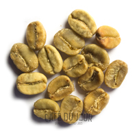 Fase de secado de los granos de café