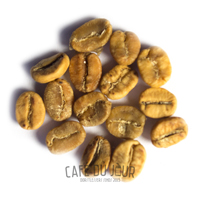 Fase amarilla de los granos de café