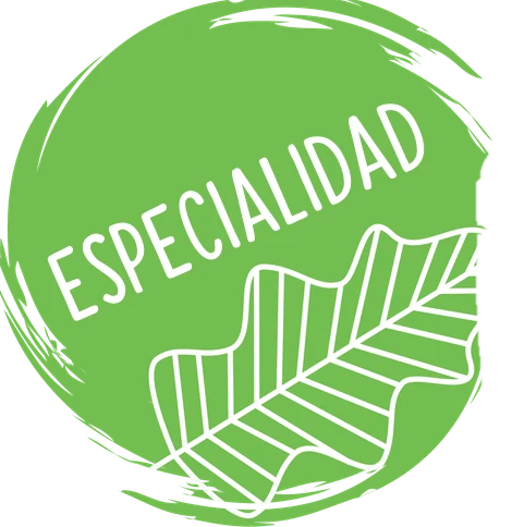 Especialidad